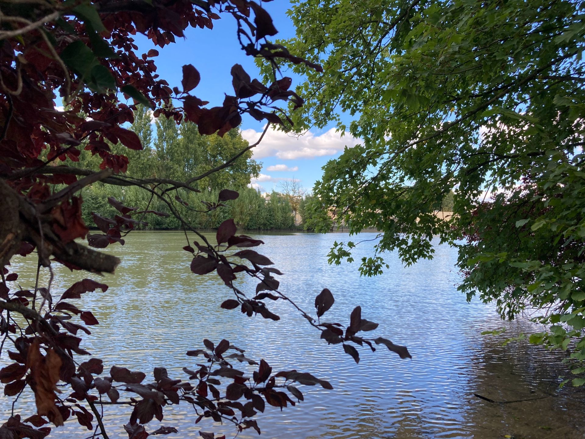 bâtisse à rénover 12 Pièces en vente sur MEAUX (77100)