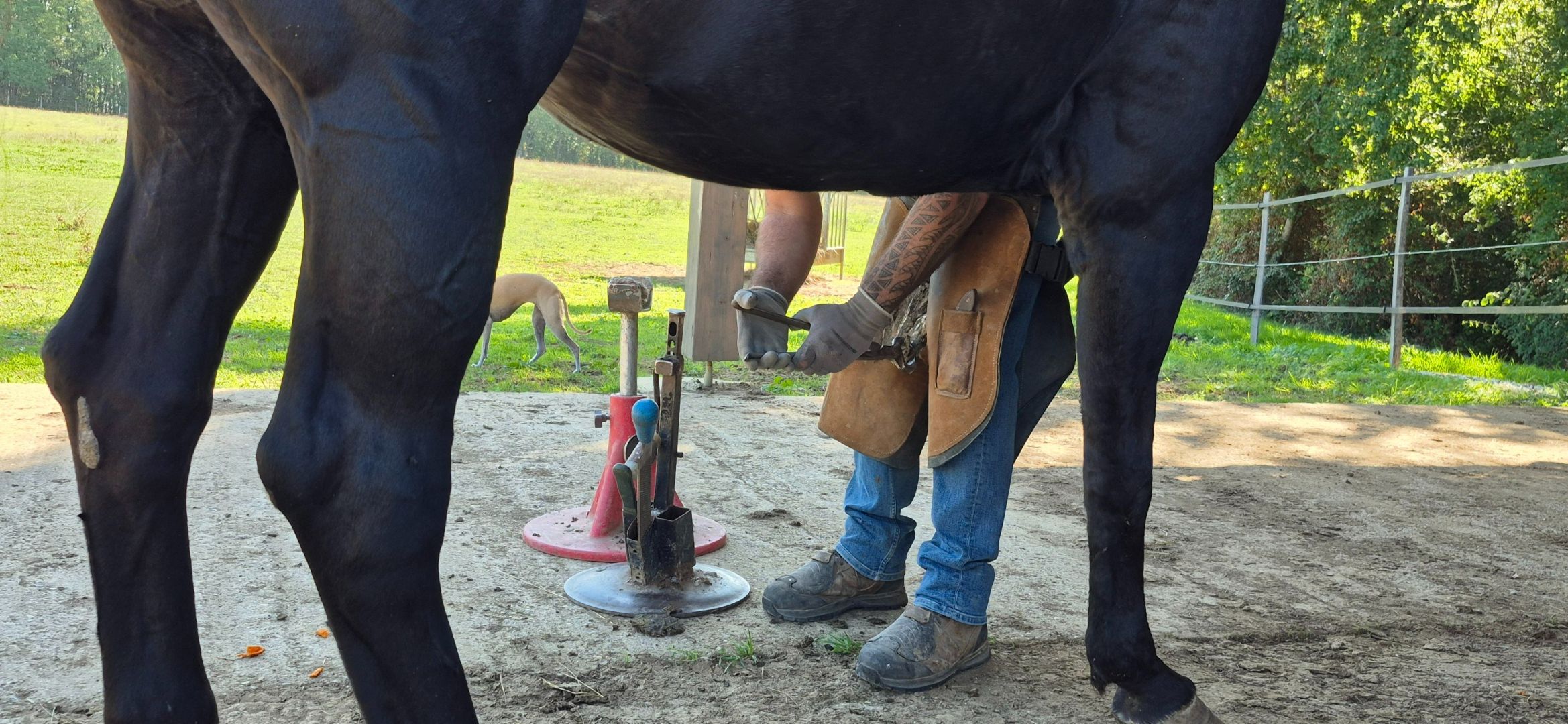 propriété 10 Pièces en vente sur ROQUECOR (82150)