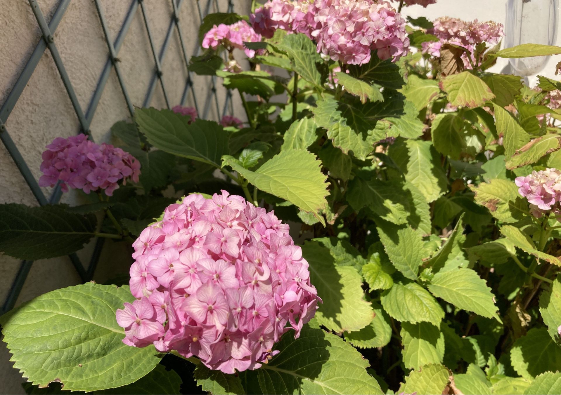 house 9 rooms for sale on MEAUX (77100)