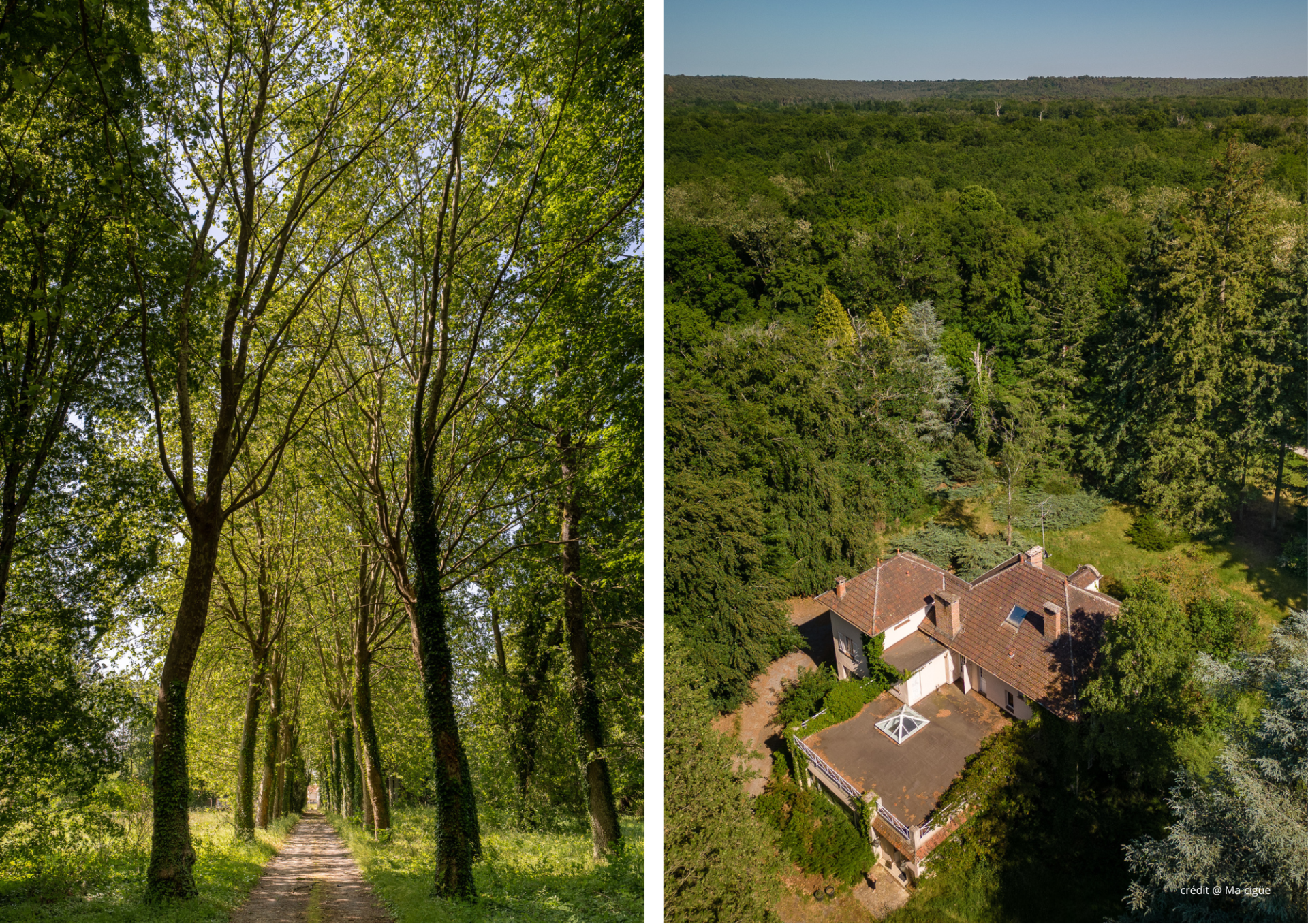 appartement 4 Pièces en vente sur BARBIZON (77630)