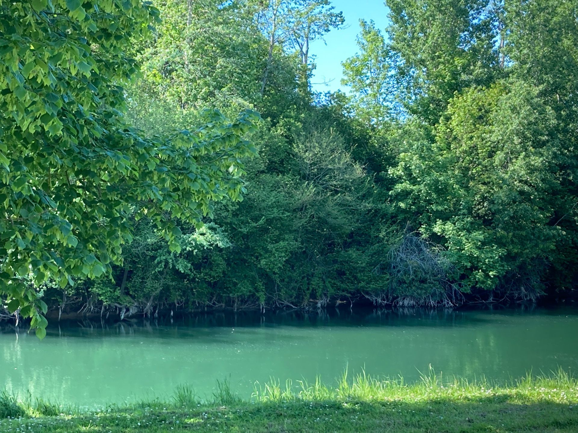 maison bourgeoise 7 Pièces en vente sur GERMIGNY L EVEQUE (77910)