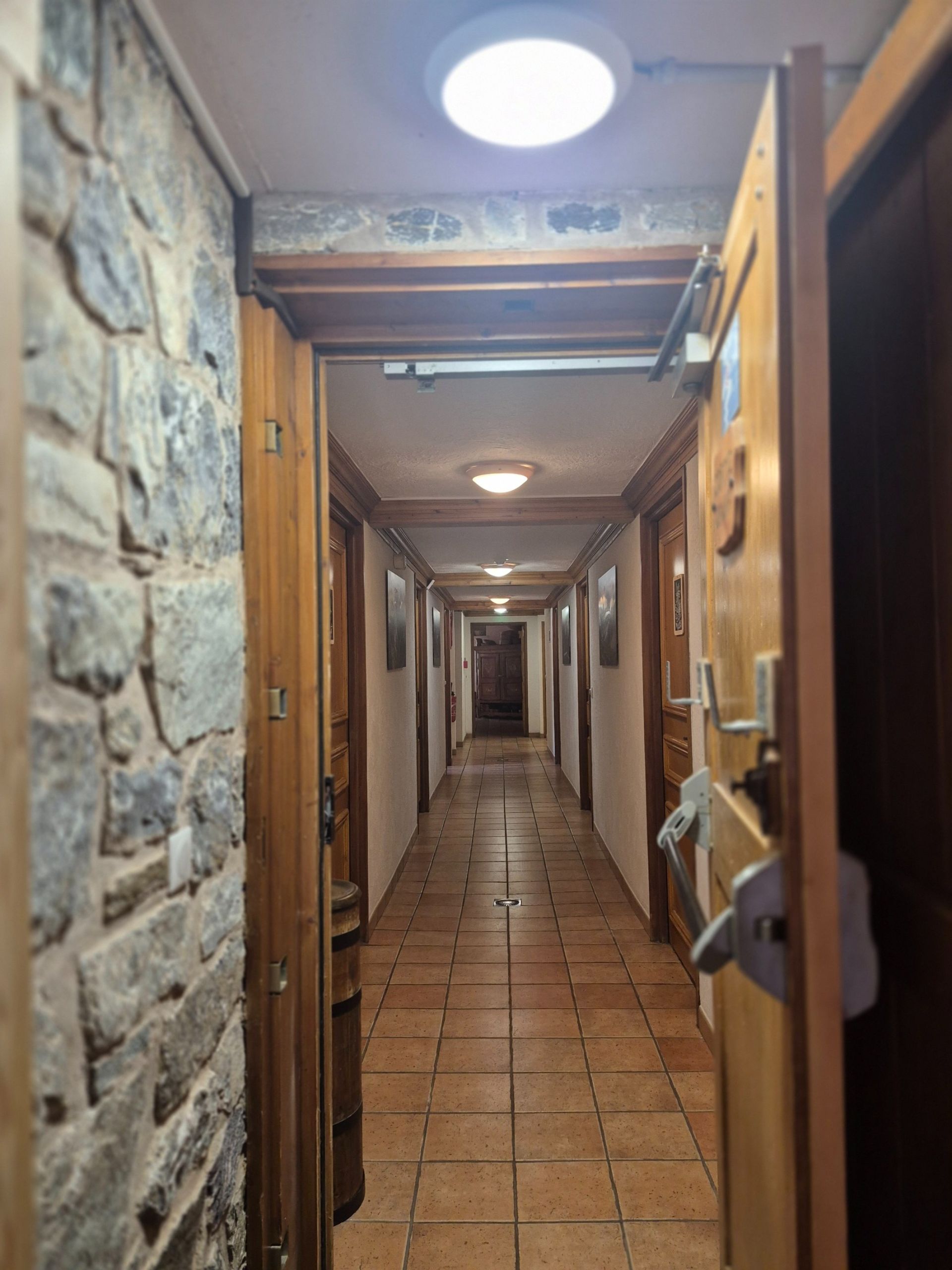 activity premises for sale on PRALOGNAN LA VANOISE (73710)