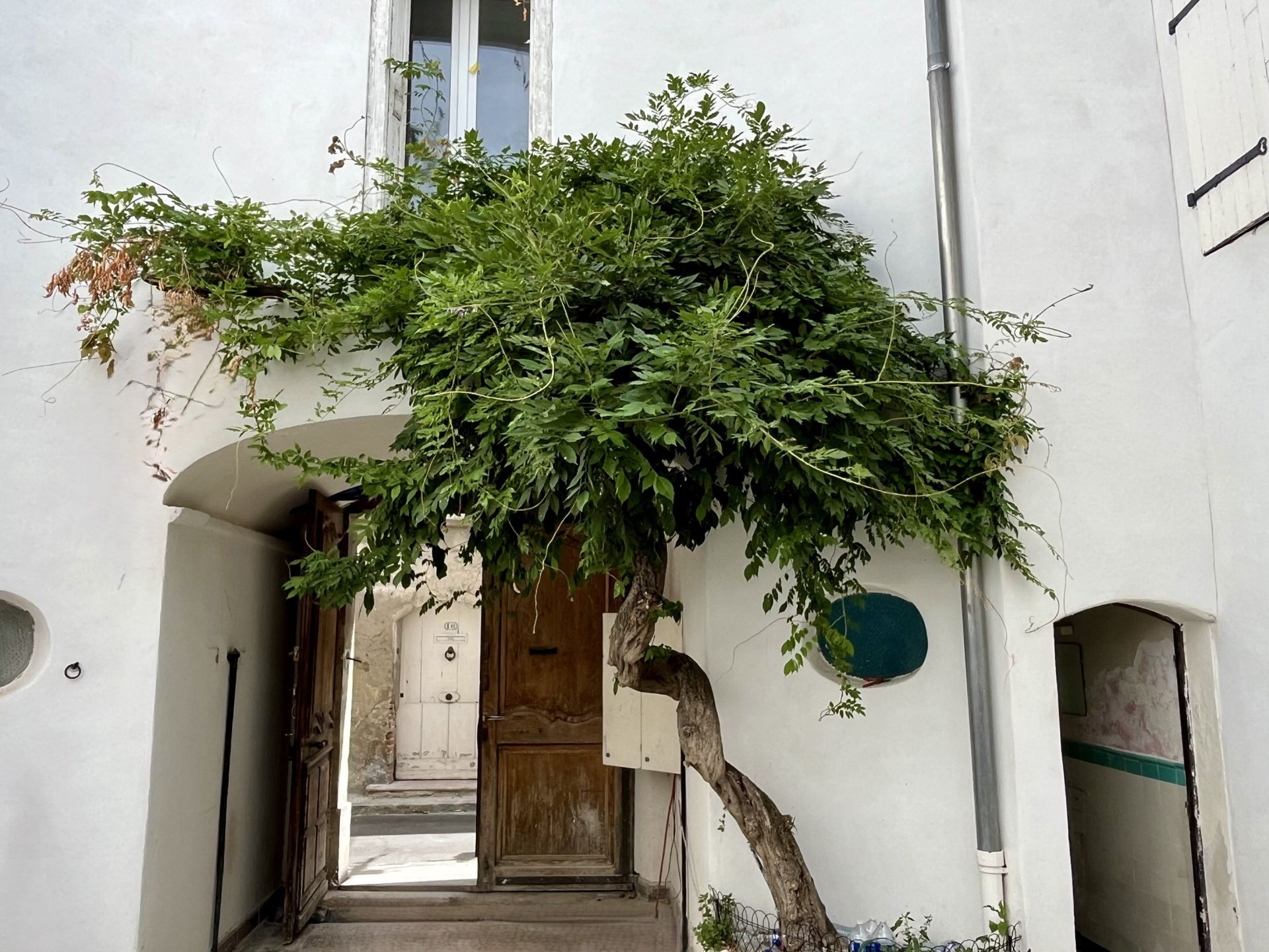 Sale Mansion 20 rooms 485 m² Ille-sur-Têt