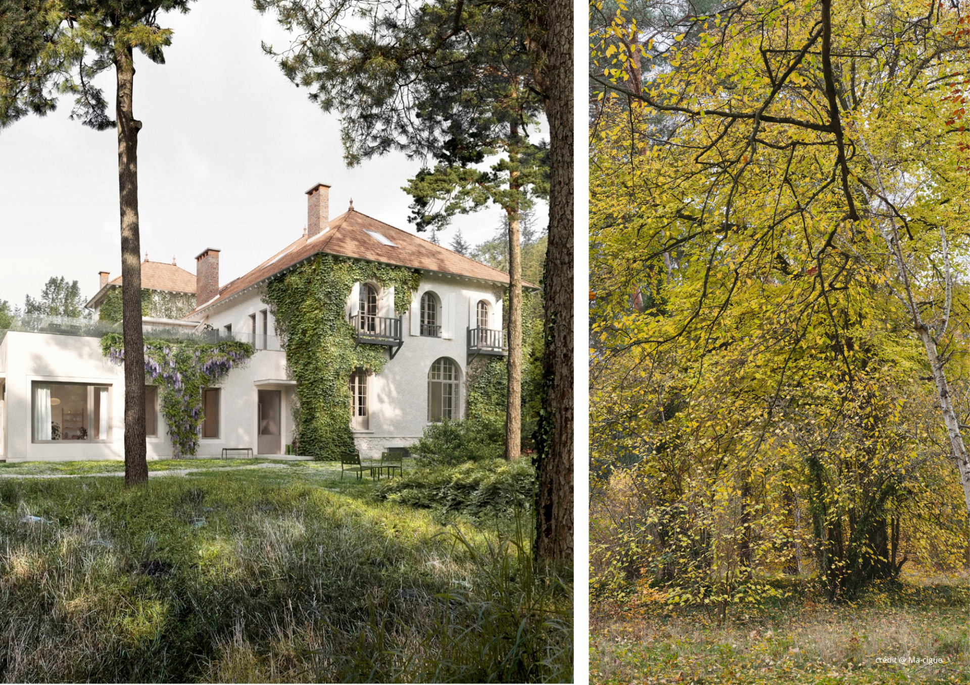 maison de maître 10 Pièces en vente sur BARBIZON (77630)