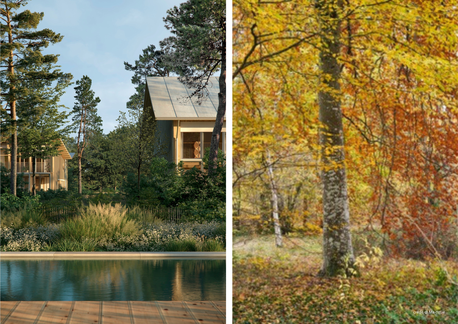 maison de maître 10 Pièces en vente sur BARBIZON (77630)