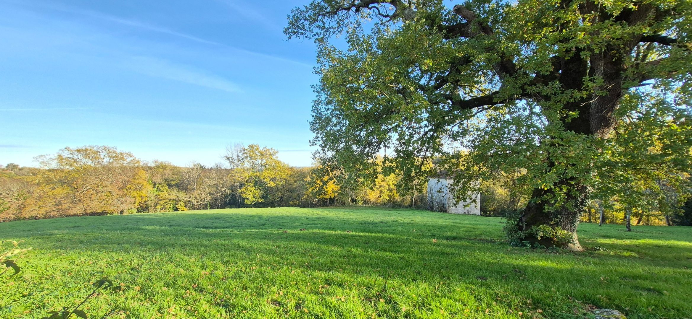 house 9 rooms for sale on ALLEZ ET CAZENEUVE (47110)