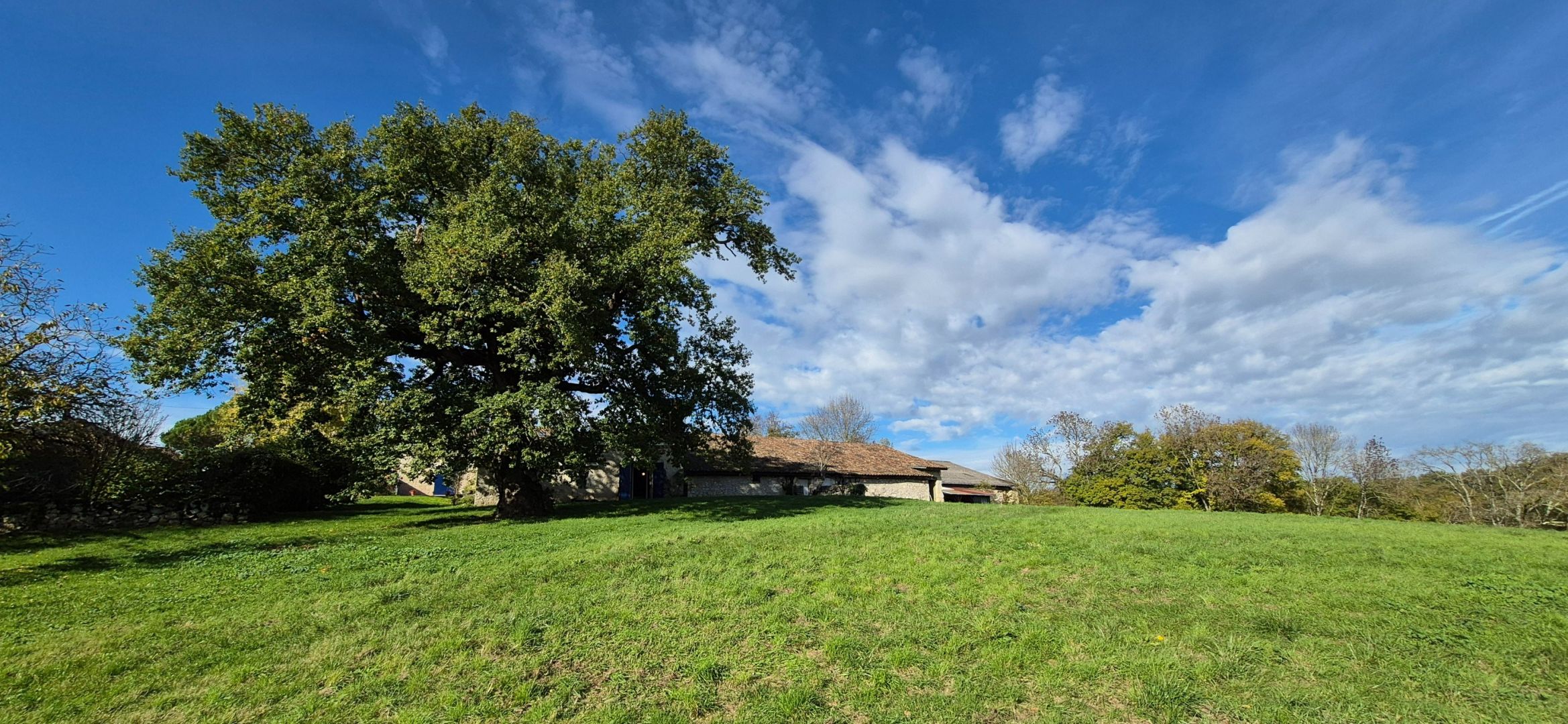 house 9 rooms for sale on ALLEZ ET CAZENEUVE (47110)