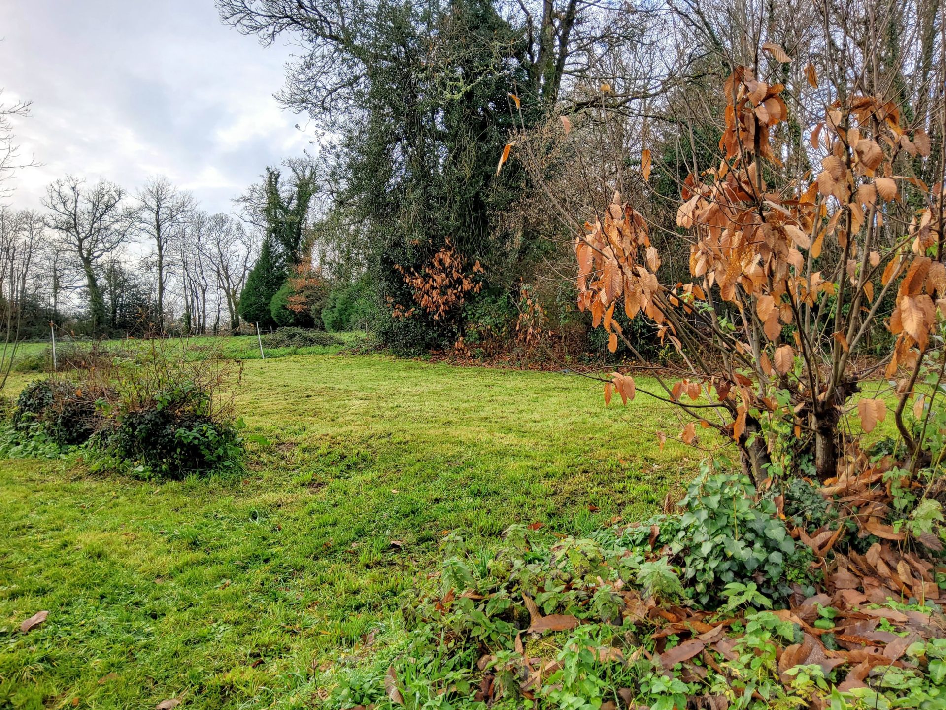 maison 5 Pièces en vente sur CHAMPAGNAC LA RIVIERE (87150)