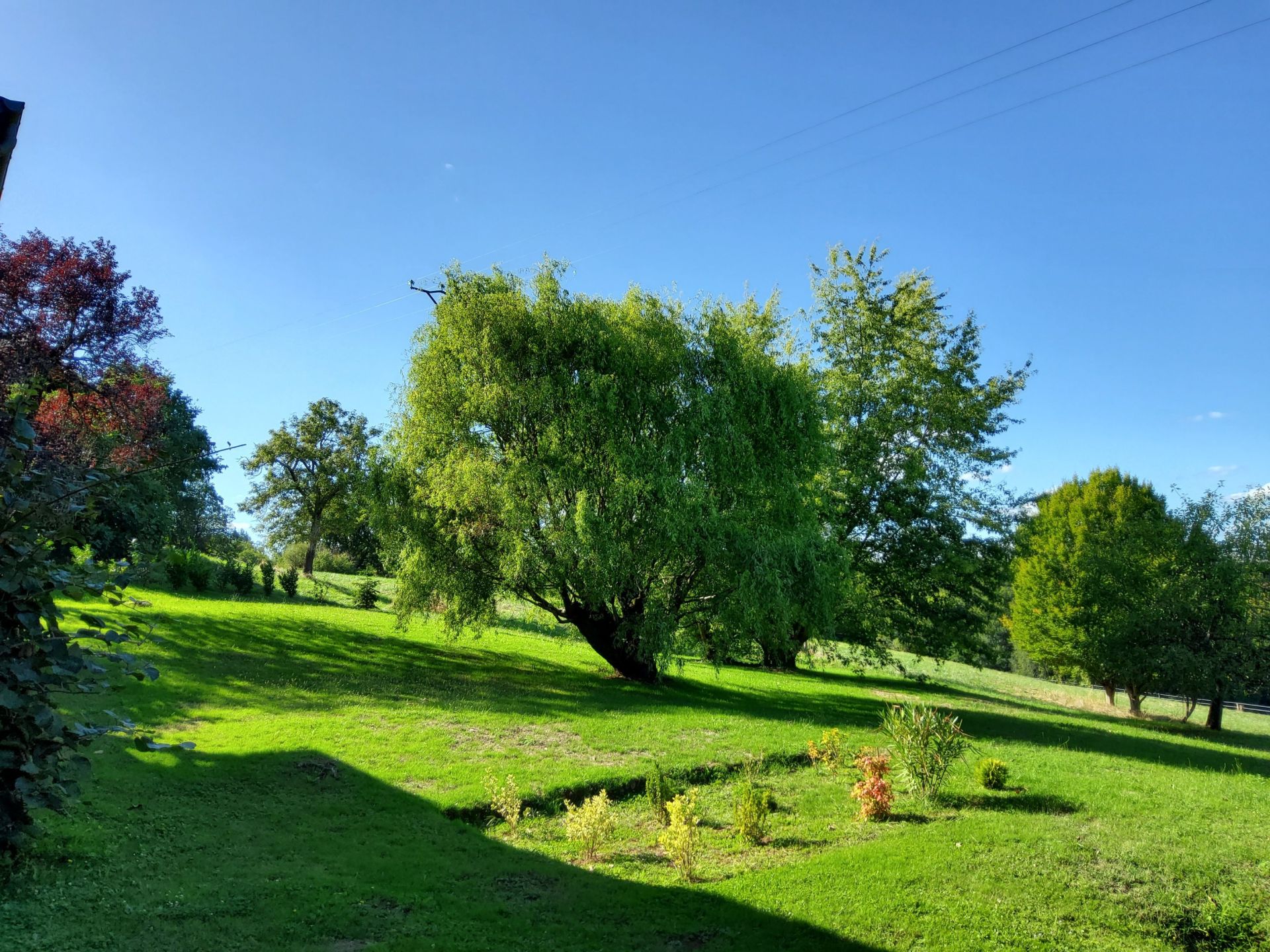 maison 8 Pièces en vente sur BRIGNAC LA PLAINE (19310)