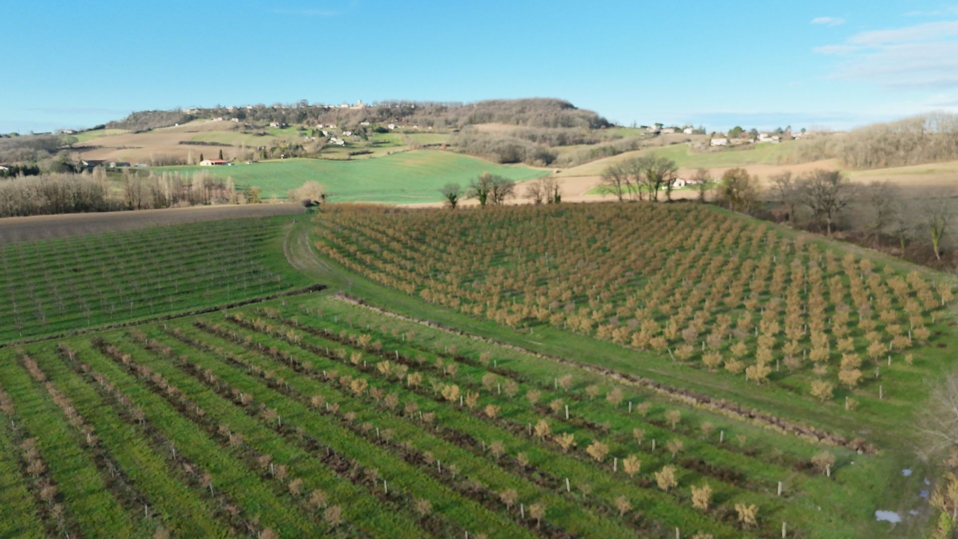 maison 5 Pièces en vente sur CONDEZAYGUES (47500)