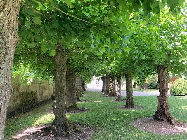 maison bourgeoise 11 Pièces en vente sur ACY EN MULTIEN (60620)