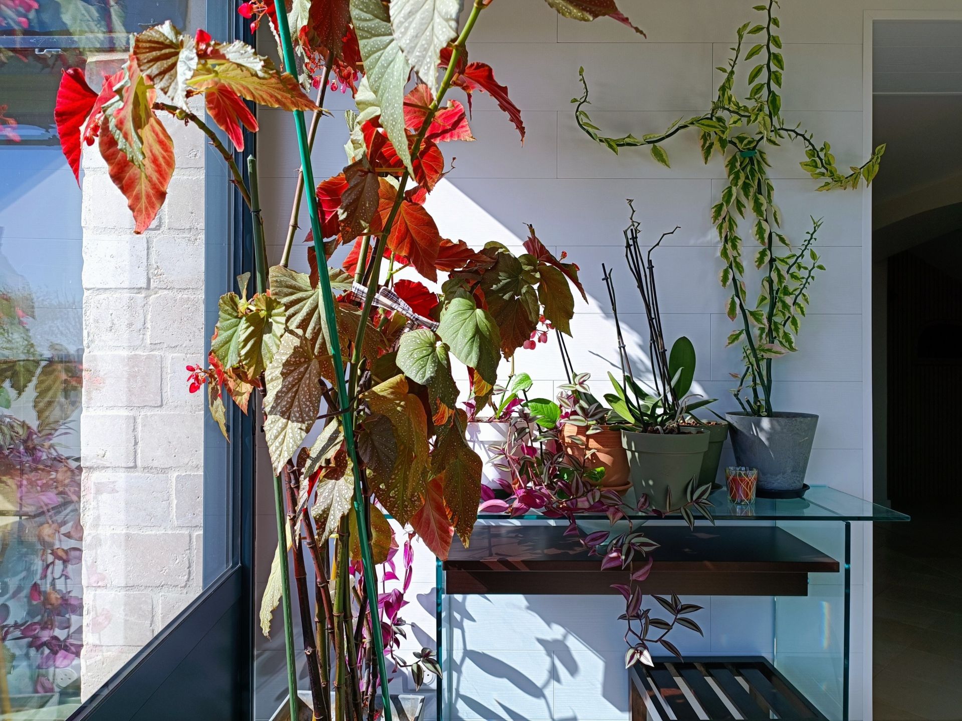 maison 8 Pièces en vente sur HOUDAN (78550)