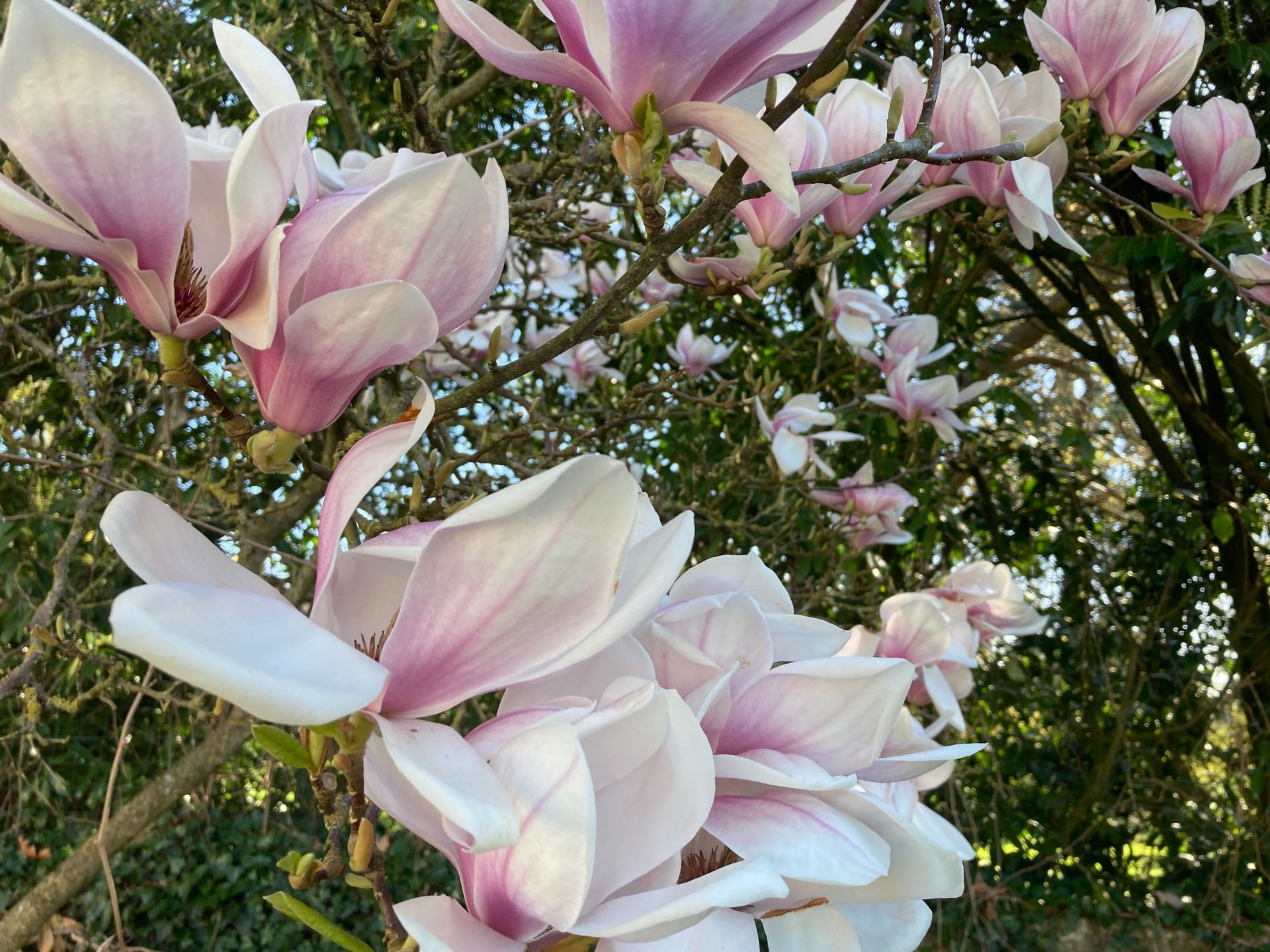 longère 10 Pièces en vente sur ROSOY EN MULTIEN (60620)