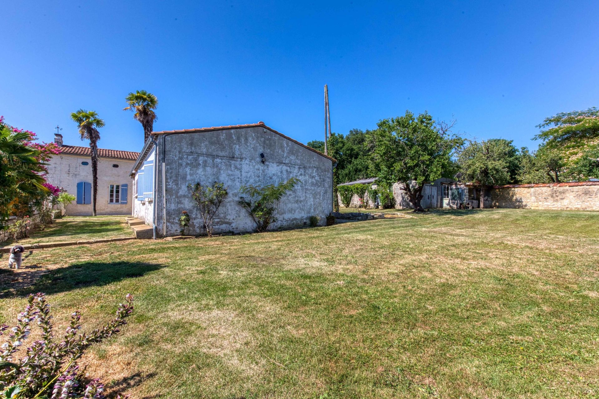 maison 6 Pièces en vente sur AVY (17800)