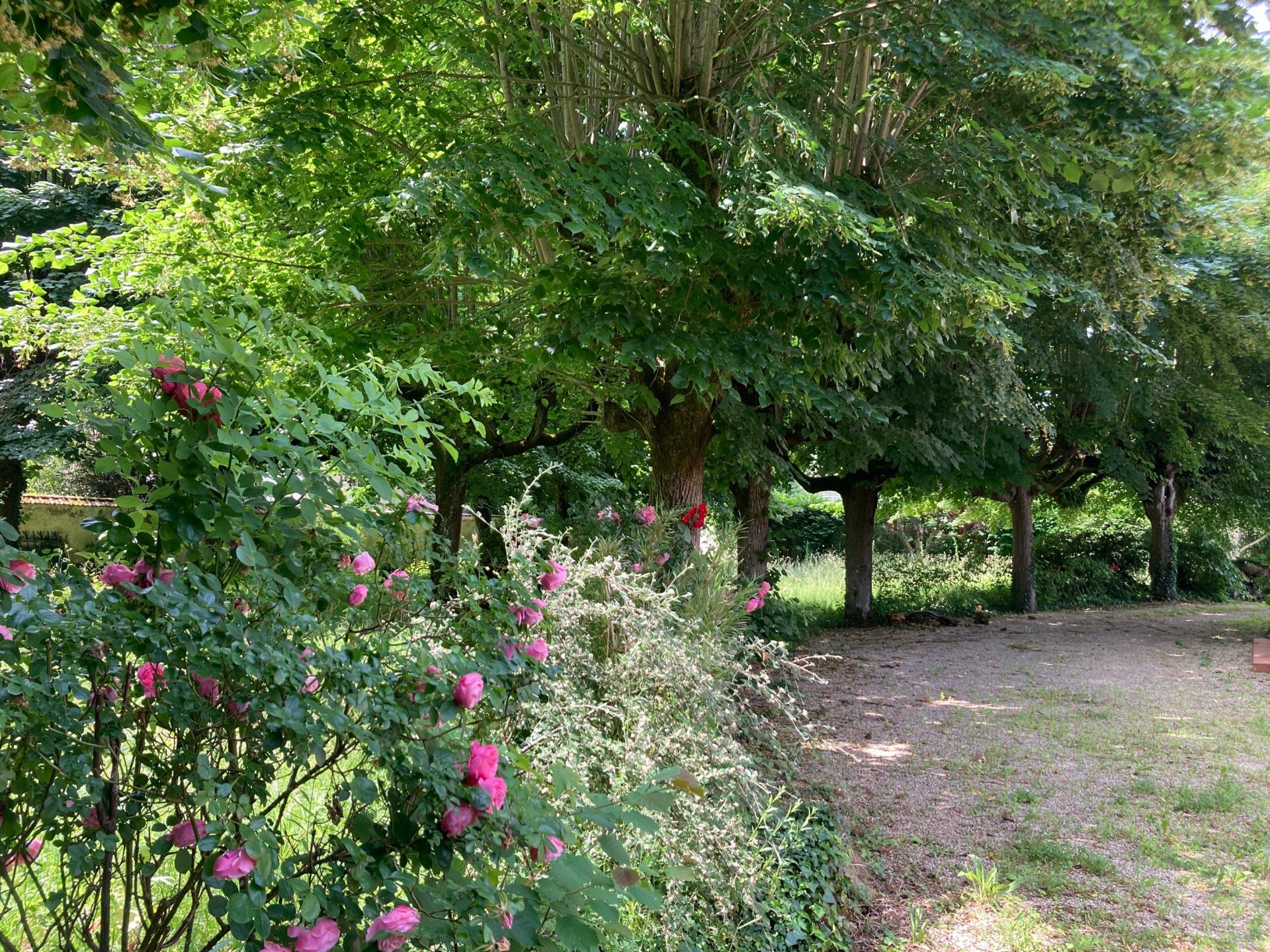 maison de maître 9 Pièces en vente sur COUILLY PONT AUX DAMES (77860)