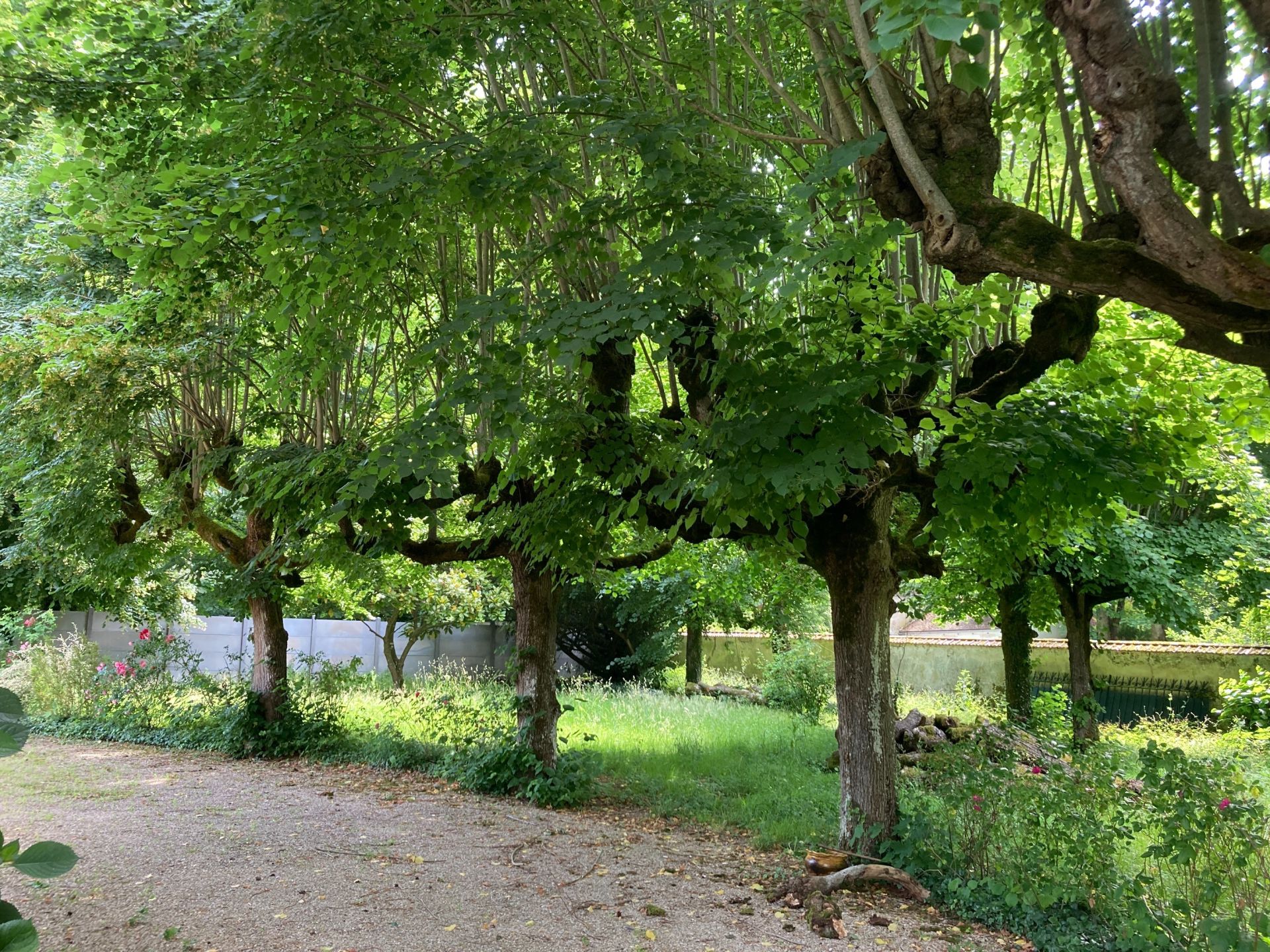 maison de maître 9 Pièces en vente sur COUILLY PONT AUX DAMES (77860)