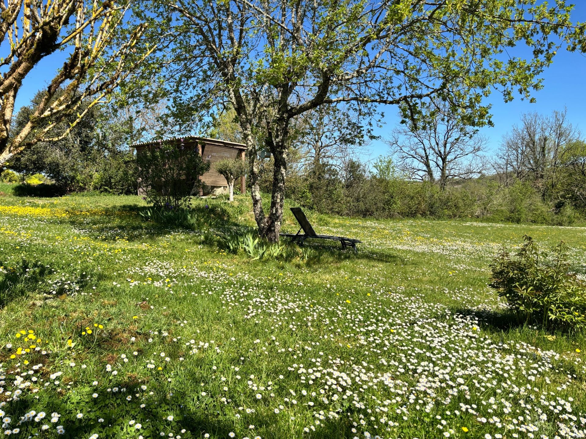maison 9 Pièces en vente sur MONTAIGU DE QUERCY (82150)