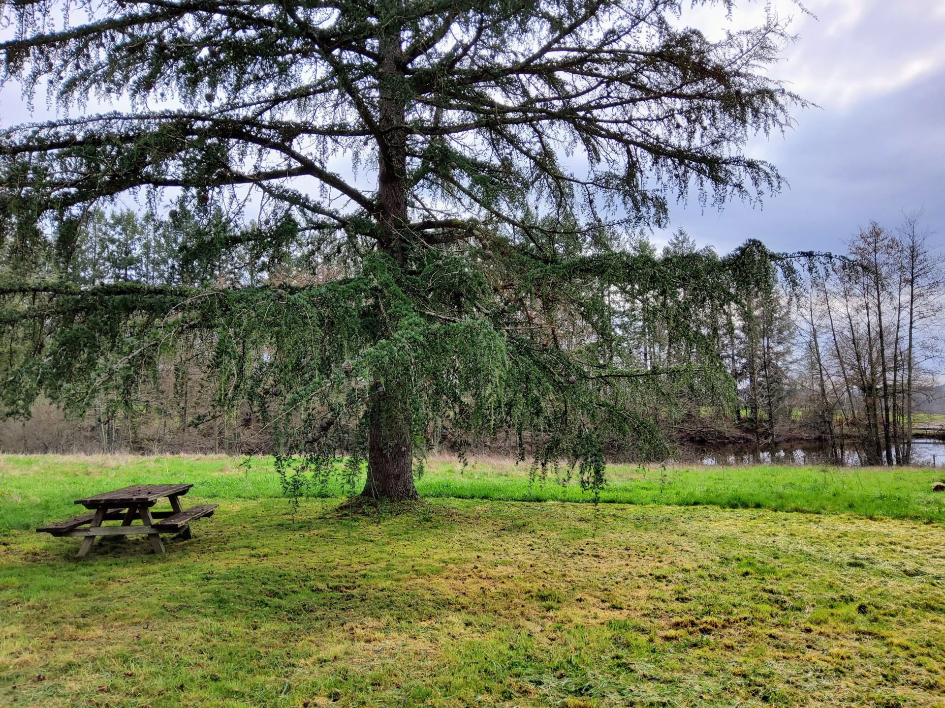 maison 5 Pièces en vente sur ORADOUR SUR VAYRES (87150)