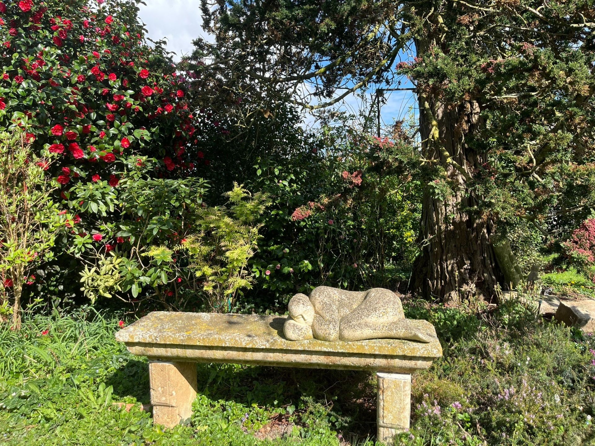 longère 10 Pièces en vente sur CHOISY EN BRIE (77320)