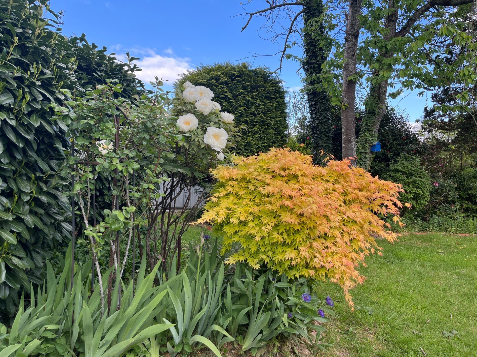 longère 10 Pièces en vente sur CHOISY EN BRIE (77320)