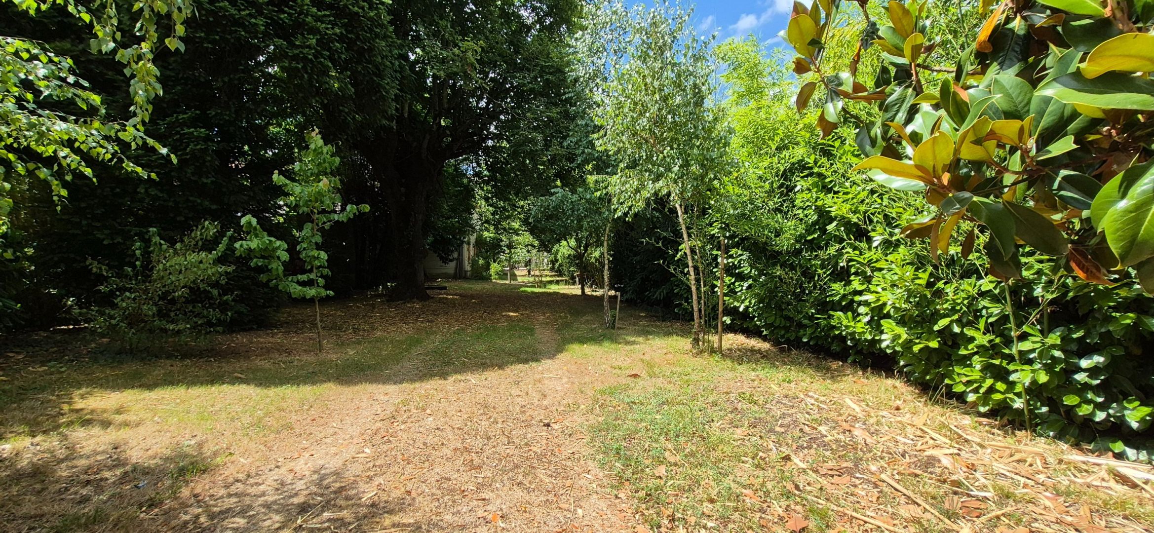 house 12 rooms for sale on VALENCE D AGEN (82400)