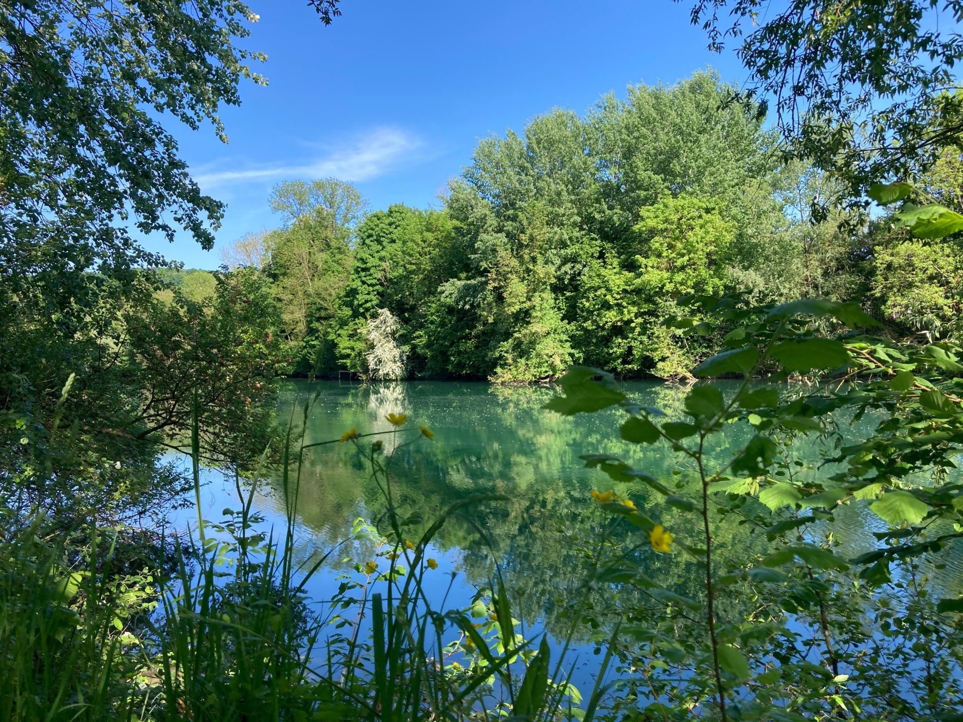 maison 12 Pièces en vente sur LUZANCY (77138)