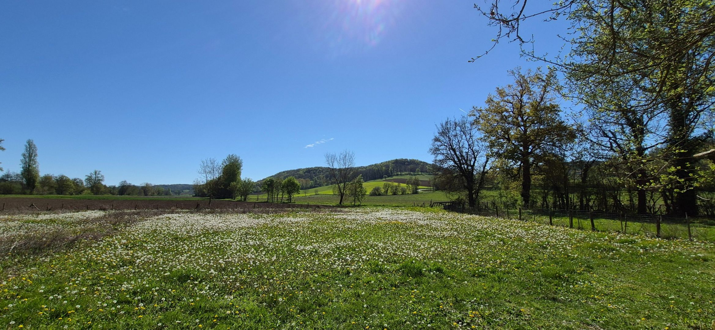 house 12 rooms for sale on LACOUR (82190)