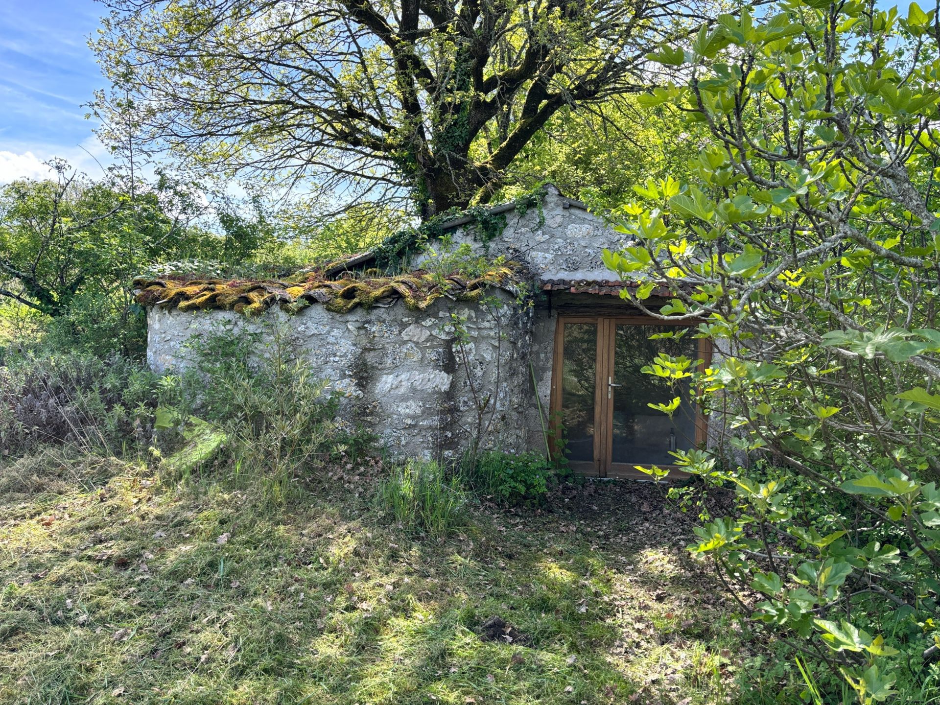 maison 3 Pièces en vente sur MONTCUQ (46800)