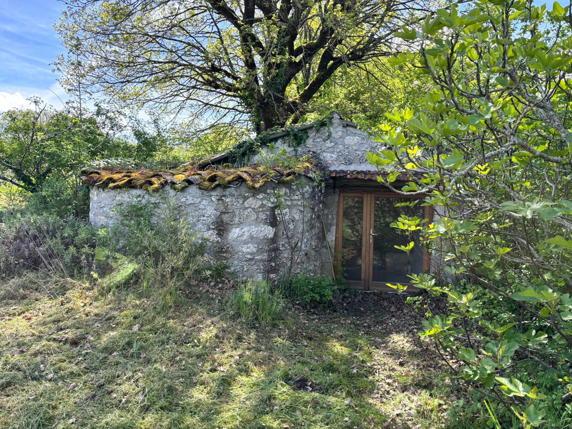 maison 3 Pièces en vente sur MONTCUQ (46800)