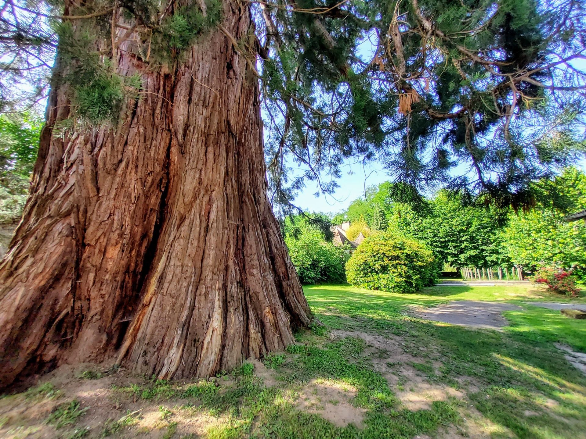 Vente Propriété 8 Pièces 260 m² Châlus