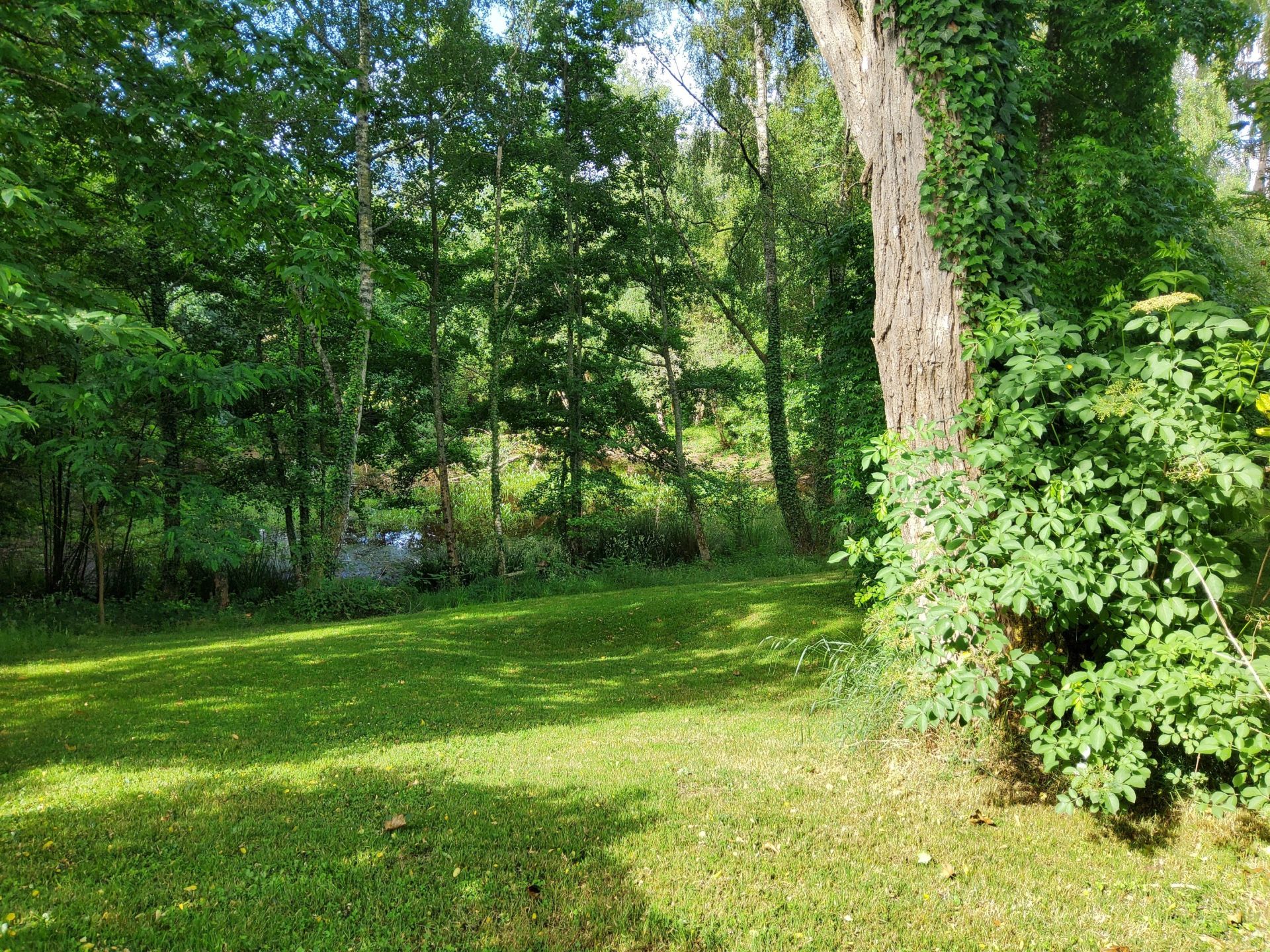 maison 5 Pièces en vente sur PENSOL (87440)