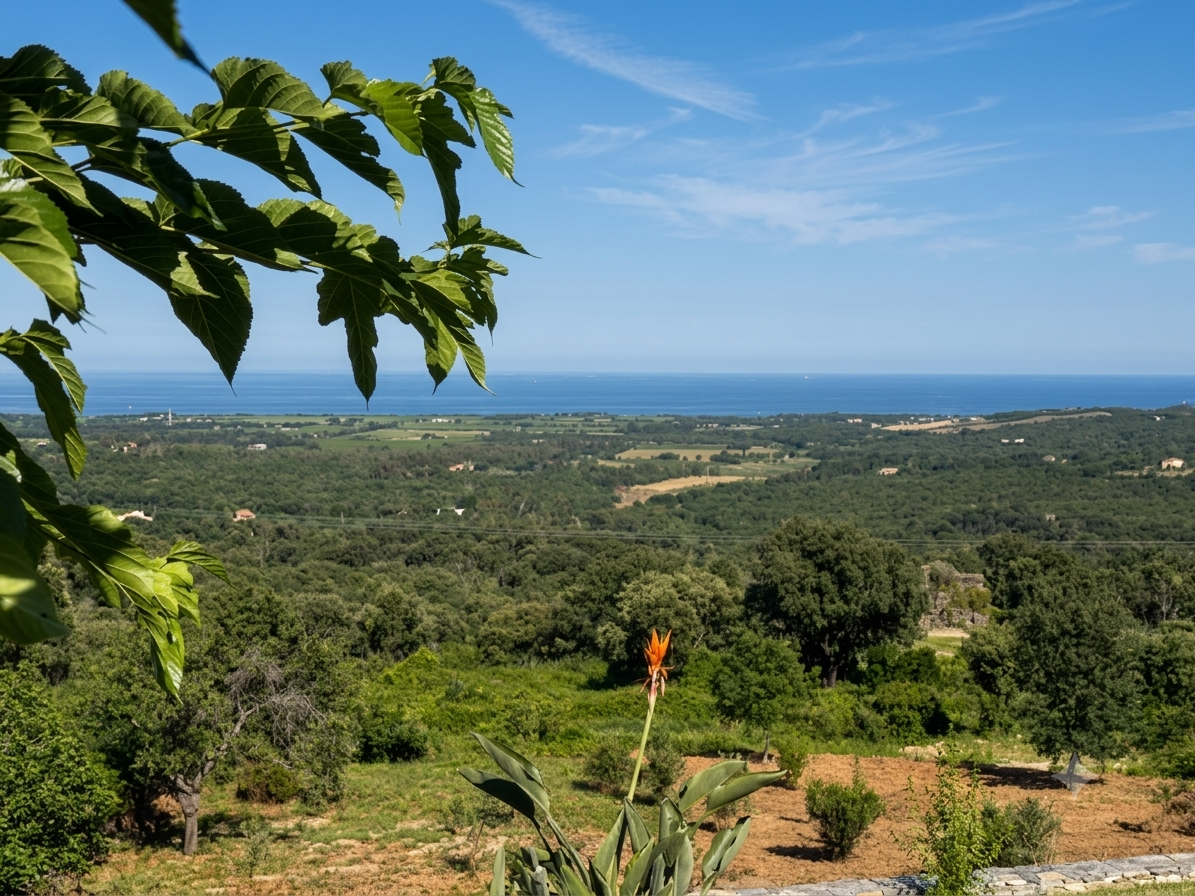 maison 3 Pièces en vente sur CHIATRA (20230)