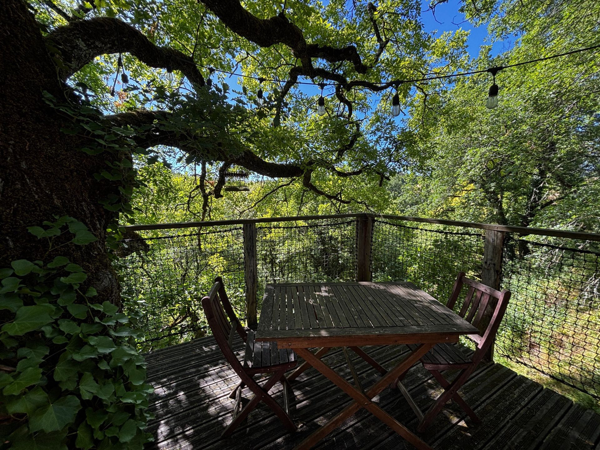 fermette 8 Pièces en vente sur MONTAIGU DE QUERCY (82150)