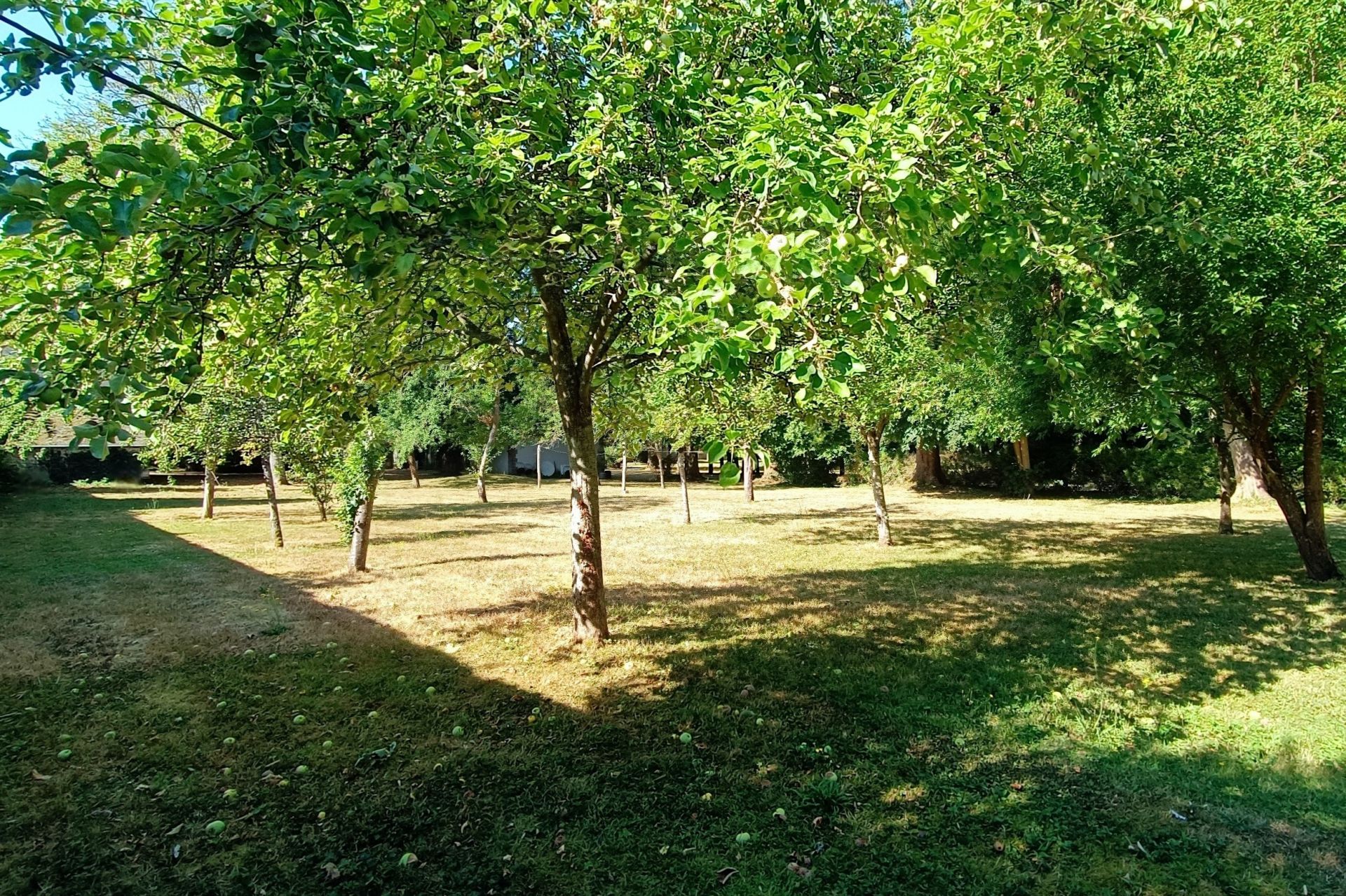 propriété 13 Pièces en vente sur MAINTENON (28130)