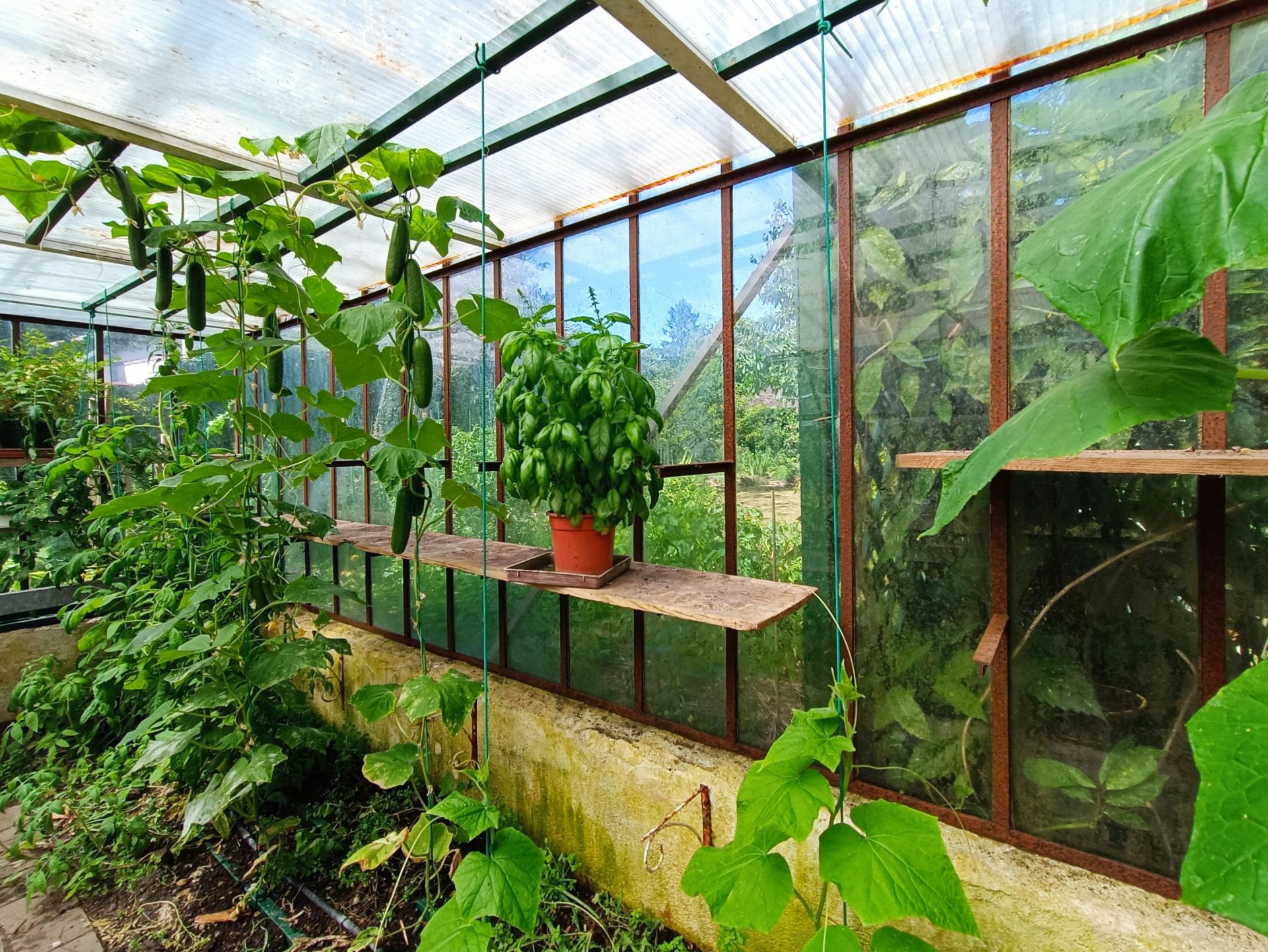 maison bourgeoise 10 Pièces en vente sur NOGENT LE ROI (28210)