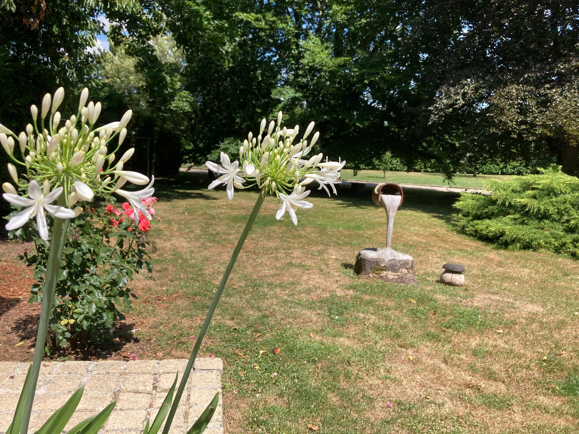 corps de ferme 7 Pièces en vente sur VAUDOY EN BRIE (77141)