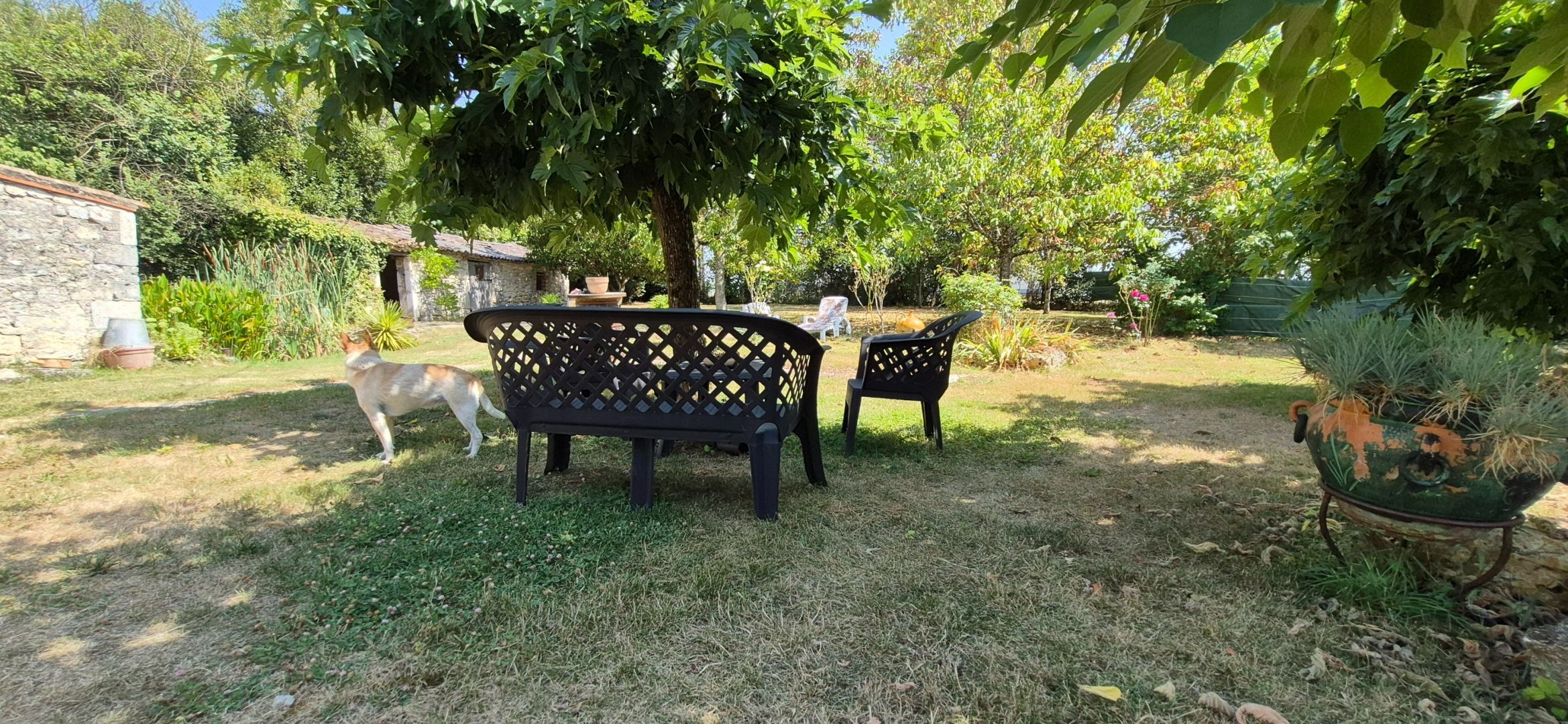 maison 5 Pièces en vente sur TOUFFAILLES (82190)