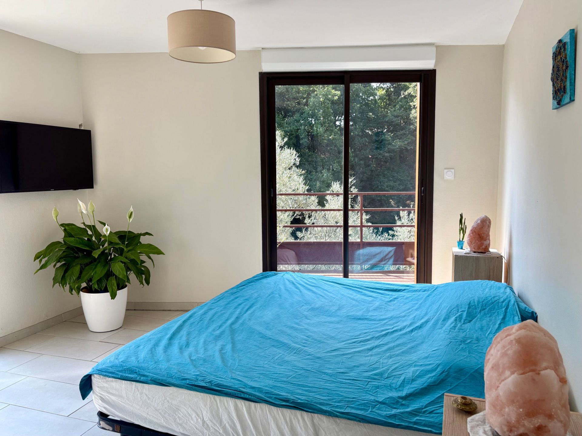 villa 12 Pièces en vente sur ST JEAN PLA DE CORTS (66490)