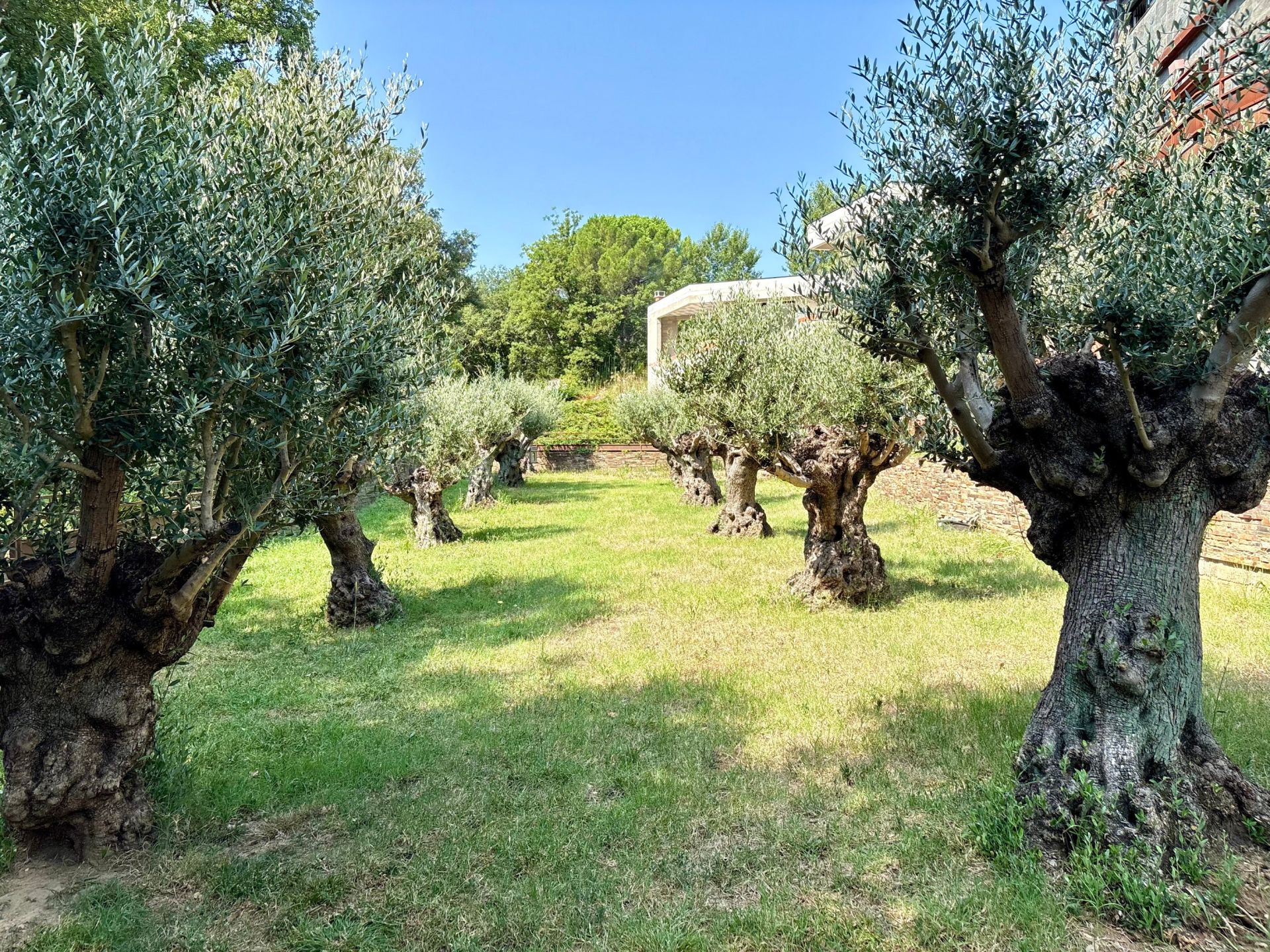 villa 12 Pièces en vente sur ST JEAN PLA DE CORTS (66490)