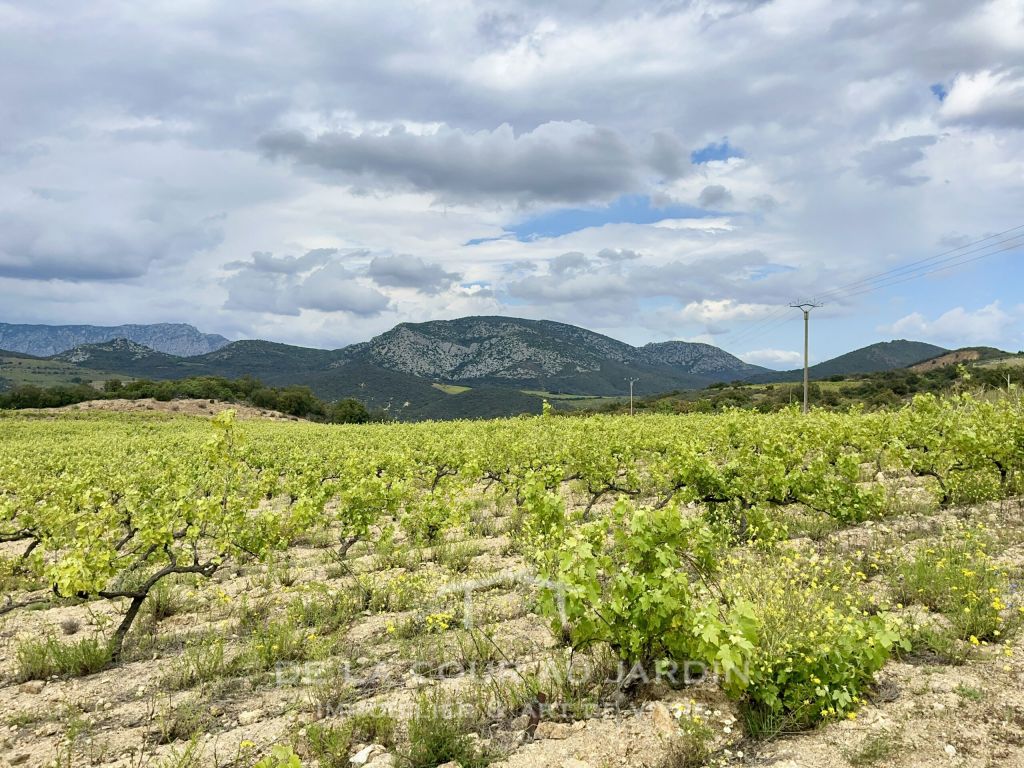 maison 5 Pièces en vente sur RASIGUERES (66720) - Plus de details