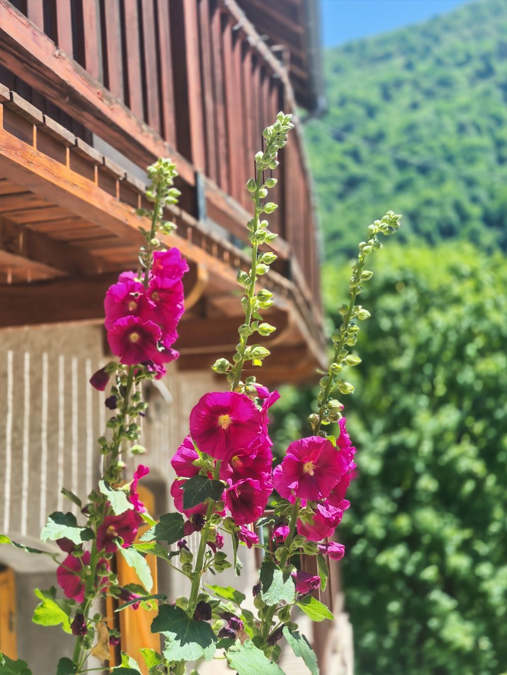 Sale House 5 rooms 286.42 m² Celliers