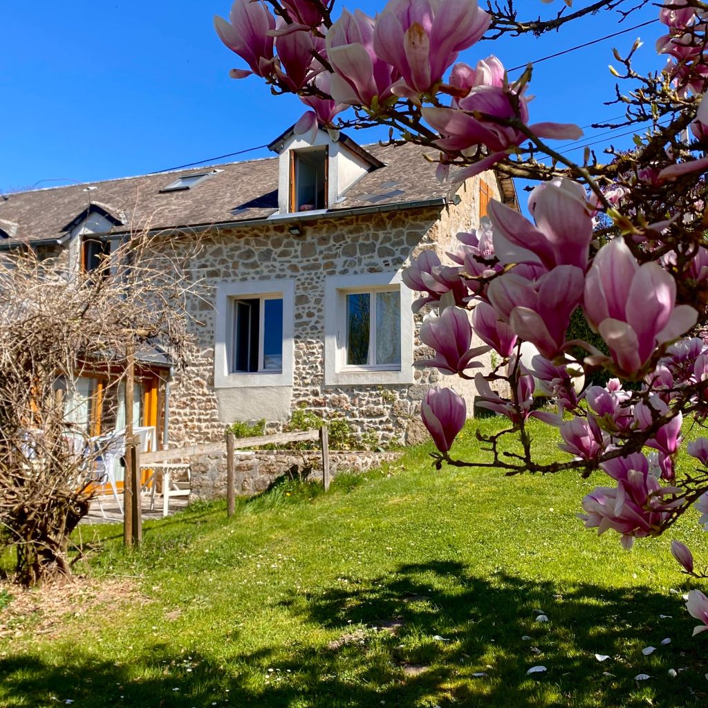 maison 12 Pièces en vente sur ST LEGER SOUS BEUVRAY (71990) - Plus de details