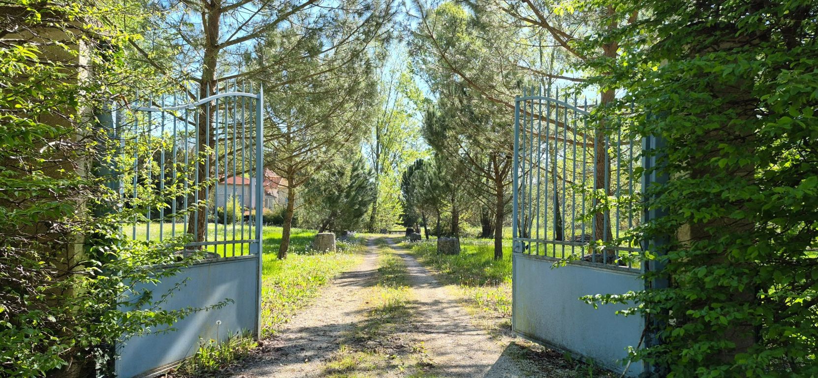 Vente Maison 12&nbsp;Pièces 371&nbsp;m² Lacour