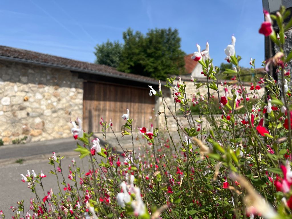 Vente Maison 7&nbsp;Pièces 174&nbsp;m² Dammartin-en-Goële