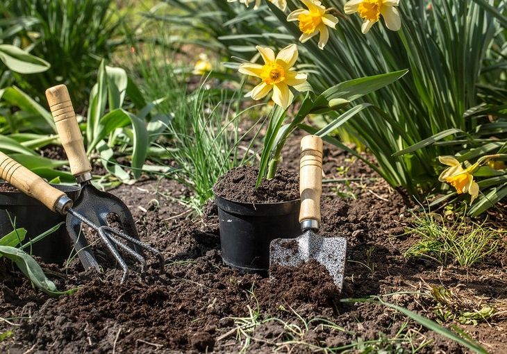 Get Your Garden Ready for Spring