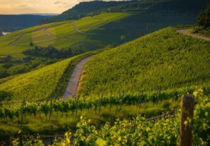 The arts of living in our regions